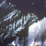 fun88乐天堂平台的安全性与可靠性分析 k5vvc