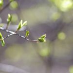 expekt娱乐的安全性与信誉:玩家信赖的在线博彩选择 lurf42h53