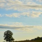 ga黄金甲网站的安全性分析:如何保护玩家的个人信息 nu5has