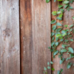 15072期足彩开奖结果揭晓,大奖花落谁家? 2f2gauh