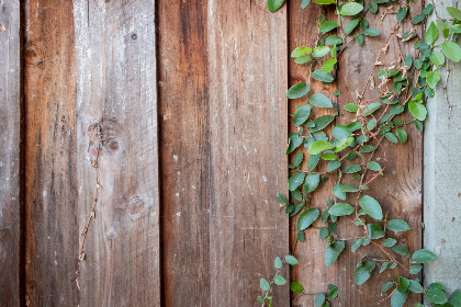 15072期足彩开奖结果揭晓，大奖花落谁家？