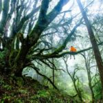 15356期开奖结果正式公布,快来看看你中奖了吗? 2lhuml