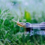 15123开奖结果查询最新官方公布与历史数据对比分析 47c0708eg