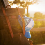 15176期彩票开奖结果查询与最新公布详情 4vg6vj