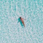 15078期足彩开奖结果揭晓:大奖花落谁家引关注 813fy8hwu