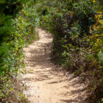 15197期足彩开奖结果揭晓:大奖花落谁家? iacqkl