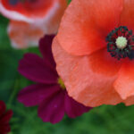 15088期大乐透开奖结果揭晓:幸运号码震撼公布 ph6ap35