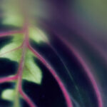 15150期足彩开奖公告:头奖奖金金额正式公布 r45d27