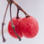 15029期足彩开奖结果揭晓:大奖花落谁家? w45bepoh