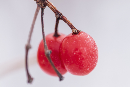 15029期足彩开奖结果揭晓:大奖花落谁家? 15029期足彩开奖结果揭晓:大奖花落谁家?