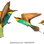 15107期大乐透开奖结果揭晓:幸运号码正式公布 zmmw7tz5k6